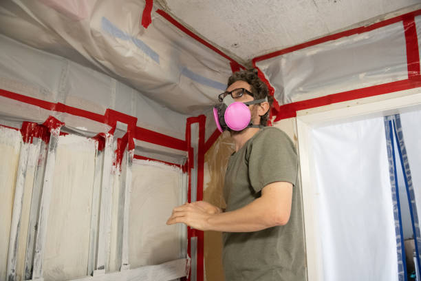 Best Mold Removal for HVAC Installations  in Albion, NY