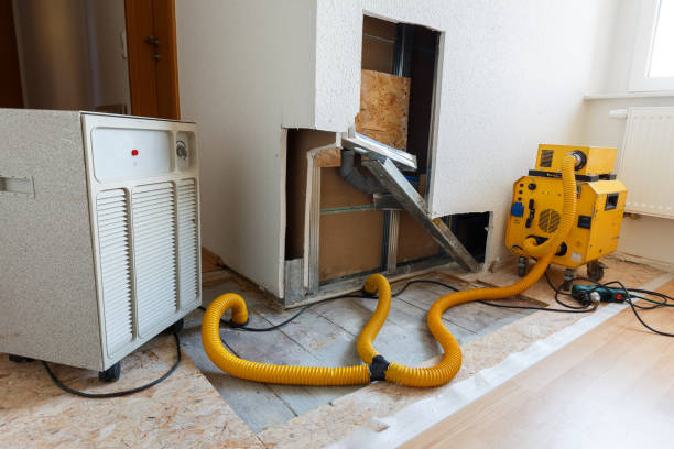 Dehumidification Services in Albion, NY